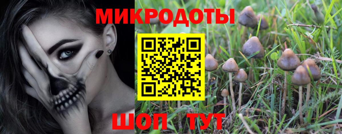 Псилоцибиновые грибы Psilocybe  даркнет сайт  Магнитогорск  Вход с VPN 